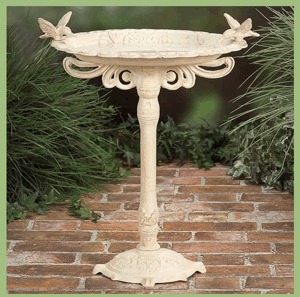 Bird Bath
